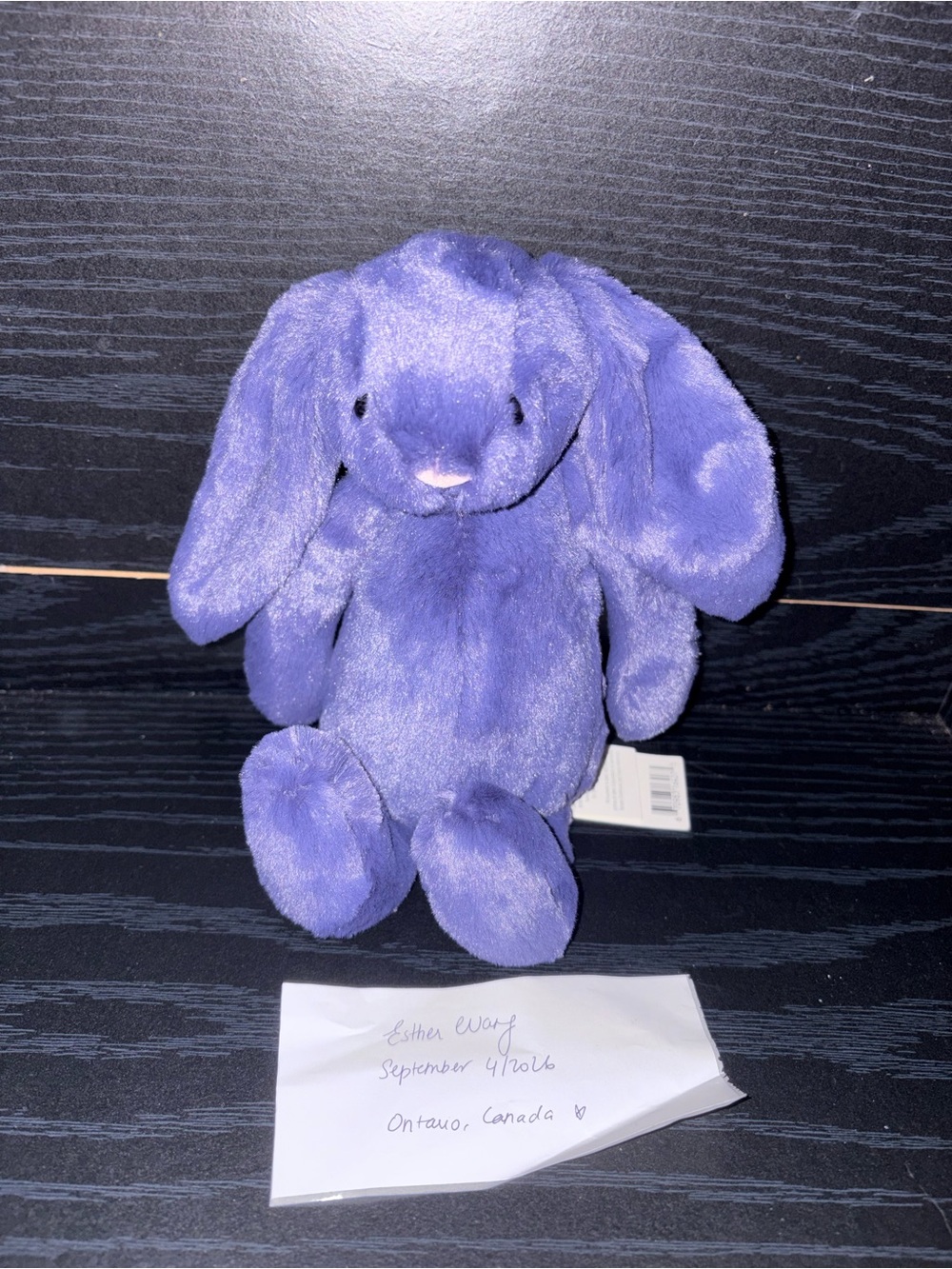 Little Saffyre Bunny BNWT